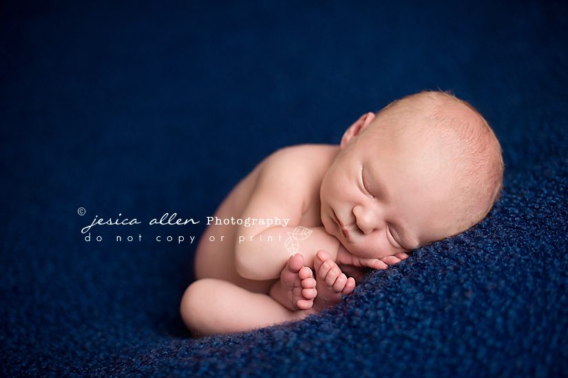 noah_0001 copy