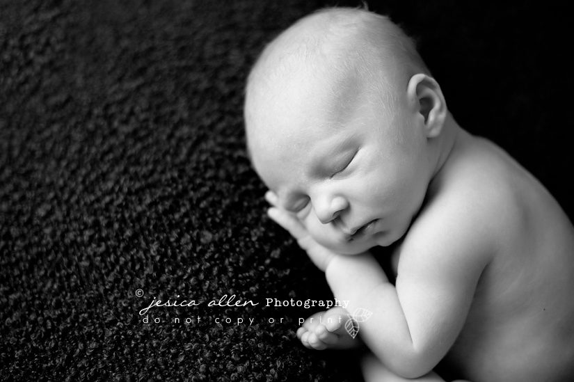 noah_0002 copy