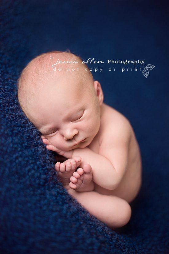 noah_0004 copy
