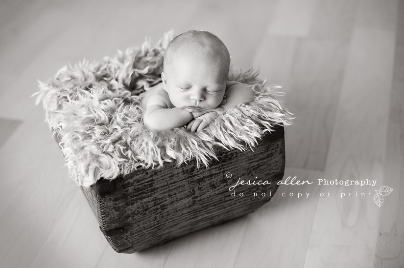 noah_0012 copy