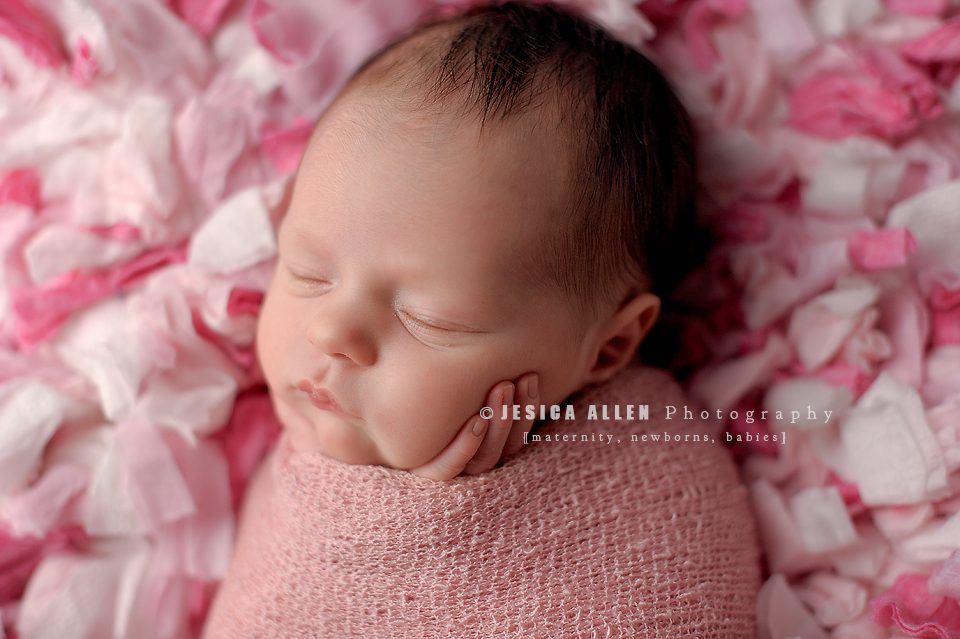 Audrey©Jesica Allen Photography_025 copy