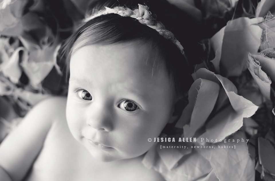 Audrey_033 copy