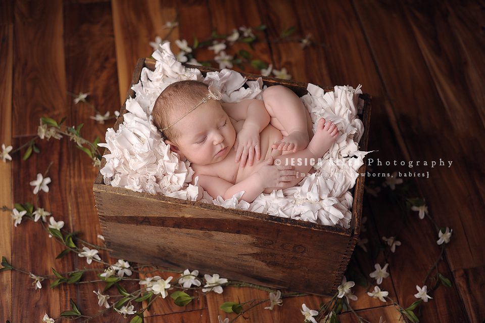 Haddie©Jesica Allen Photography_020 copy