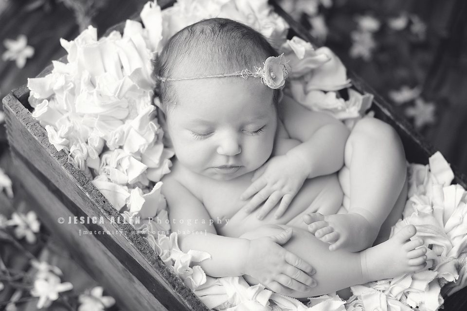 Haddie©Jesica Allen Photography_021 copy