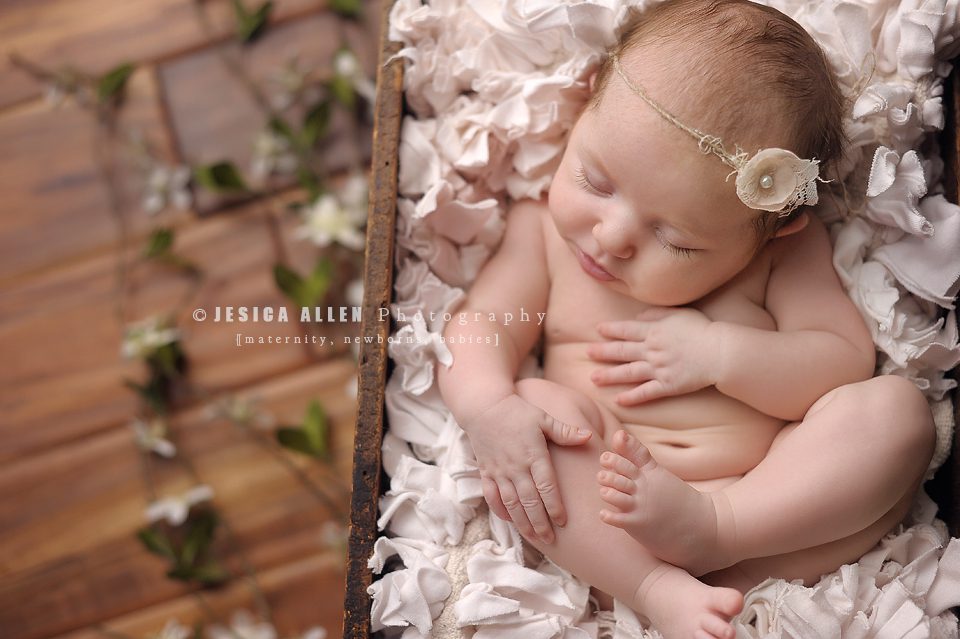 Haddie©Jesica Allen Photography_024 copy