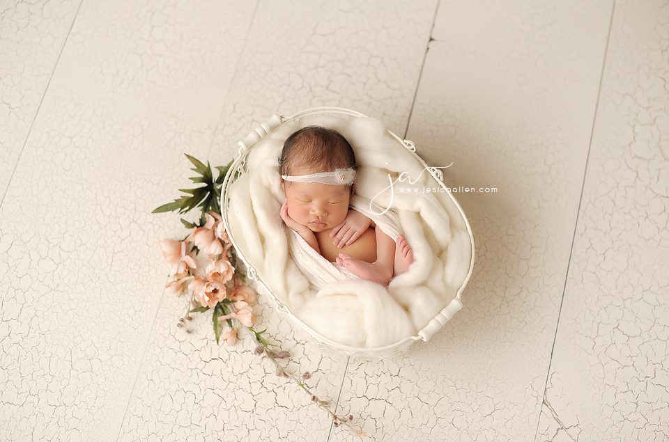 Amelie©Jesica Allen Photography_032 copy