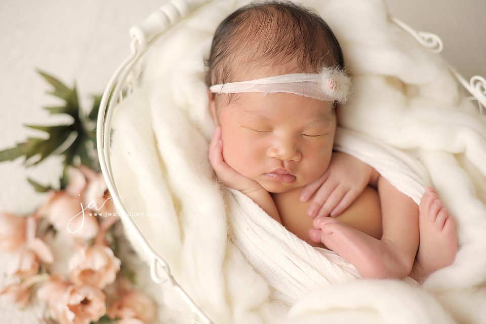 Amelie©Jesica Allen Photography_033 copy